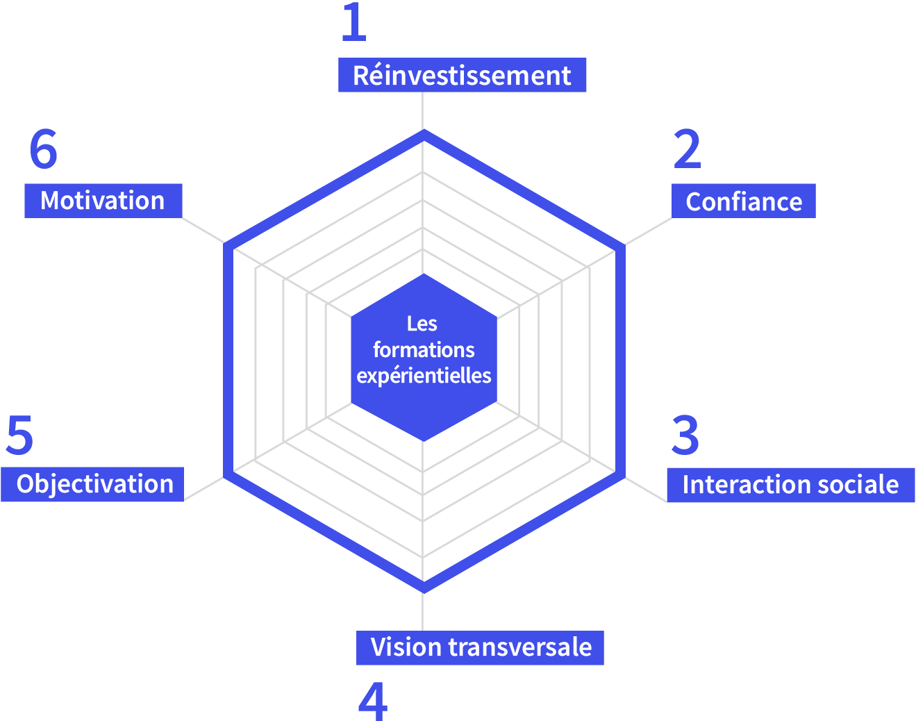 graphique d'une formation